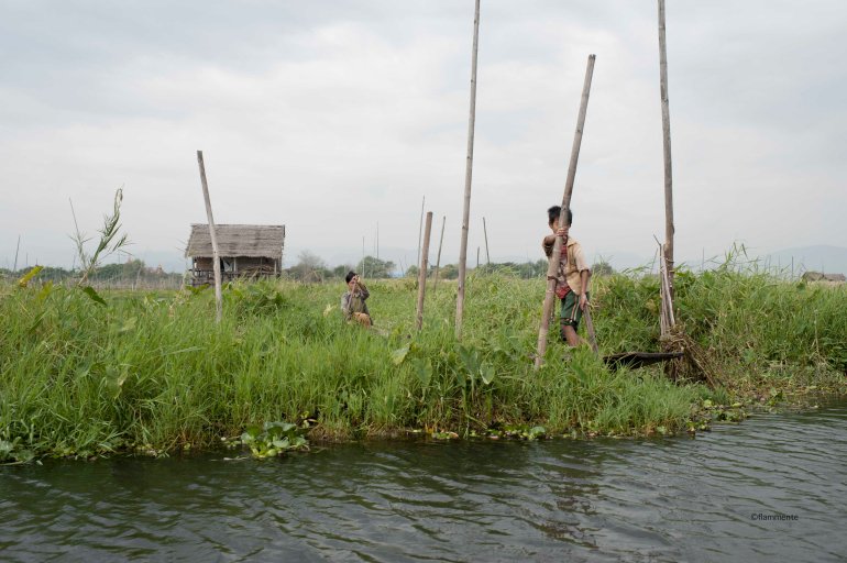 2015_01_18_sur le Lac Inle-58-2